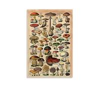 Introduction of Various Mushrooms Modern Home Kitchen Dormitory Kids Room Mural 12x18inch (30x45cm)