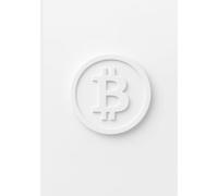 Introduction to Cryptocurrency: Volume I: The Rise of Blockchain and Its Fundamentals