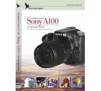 Introduction to the Sony A100 Digital SLR
