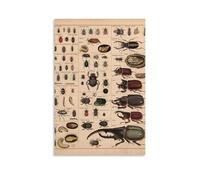 Introduction to Various Beetles Porch 16x24inch (40x60cm)
