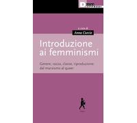 Introduzione ai femminismi. Genere, razza, classe, riproduzione: dal marxismo al queer (Input)