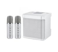 Introti Máquina de karaoke portátil con 2 micrófonos, altavoces de subwoofer de estudio, recargables, pequeños altavoces KTV para entretenimiento en casa