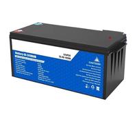Inversor Batería LiFePO4 De 50 Ah 100 Ah 200 Ah 12 V 24 V BMS Recargable para Autocaravanas Y Sistemas Solares. Transformador de Voltaje(12V 200AH)