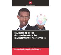 Investigando os determinantes do investimento na Namíbia