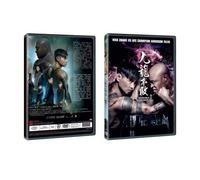 INVINCIBLE DRAGON Chinese Movie DVD With English Subtitles