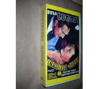 Invisible Ghost [Reino Unido] [VHS]
