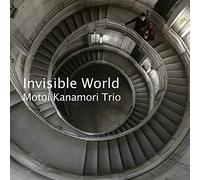 Invisible World