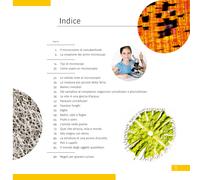 Invisible world (el mundo invisible). el libro educativo. tapa dura