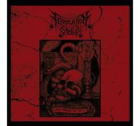Invocation Spells - The Flame Of Hate [Vinilo]