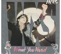 INXS - What You Need 7 Inch (7" Vinyl 45) US Atlantic 1985
