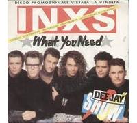 Inxs - What You Need / Kiss The Dirt