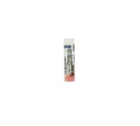 BOSCH 0 433 171 610 Inyector