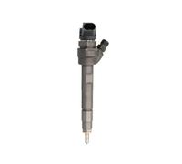 BOSCH Inyector para BMW: SÃ©rie 3, X1, SÃ©rie 1, SÃ©rie 5, X3, SÃ©rie 4, X5, X4, SÃ©rie 2, X6, SÃ©rie 7 (Ref: 0 986 435 244)