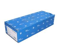 Inyector DELPHI BEBJ1F06101