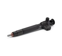 Inyector Diesel Completo Common Rail Delphi Para Citroën Jumper Furgón