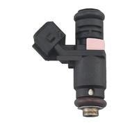 Inyector Gasolina Para Duster 2.0 ITGDC9 ITG DC9 166009398R H820107895C Bomba Suministro 4 Piezas 1/4 Boquilla Inyector Combustible(1pcs)