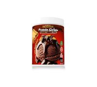 iO.GENIX - PROTEIN GELATO | Helado Proteico | 300g para Preparar 6 helados | Materia Prima Lacprodan® | Alto en Proteínas (Chocolate Amazónico)