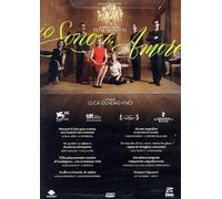 Io Sono L'Amore (DVD) Tilda Swinton Flavio Parenti (Importación USA)