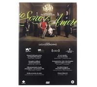 Io sono l'amore [Italia] [DVD]