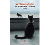 Io sono un gatto (BEAT. Bestseller)