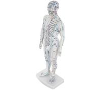 IOBIDDYS Maniquí de Acupuntura Masculino Blanco de Plástico, Modelo Humano Puntos de Acupuntura y Meridianos, Herramienta Educativa para Aulas y Exhibición de Masajes