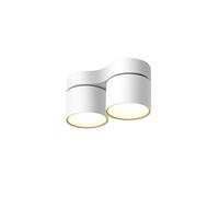 IOEDHW Fuente de luz de Alto Brillo Focos de Techo Foco empotrable montado en Superficie de Doble Cabeza para Sala de Estar Luz de Techo Porche Hogar Foto Iluminación de Pared Foco Iluminación