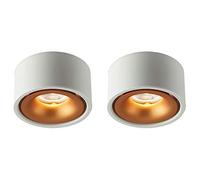 IOEDHW Nordic Downlight Lámparas de Techo Modernas y Creativas Focos Minimalistas Diseño de transmisión de luz Lateral de Aluminio Iluminación de Techo hacia Abajo Lámparas de Techo Lámparas