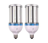 IOEDHW Paquete de 2 Bombillas LED superbrillantes de 50 W, iluminación de Techo con lámpara E27/E40 de Alta Potencia, luz Diurna Blanca fría de 6000 K-5200 lúmenes, no Regulable, para iluminación