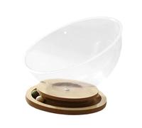 Ioensy Cama Cápsula Transparente, Casa para Gatos, Artículos para Mascotas, Muebles para Gatos, Juguetes de Pelota, Artículos para Gatos, Todas Las Estacione, MDF L