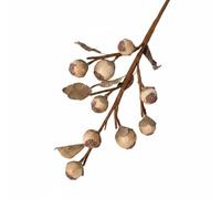 Ioensy Industrial Prop Rama de Fruta Seca Artificial Ramo Espiga Aspecto Rústico Otoñal con Bayas y Hojas Envejecidas en Espuma y Plástico Fácil de Moldear , Blanco Crema