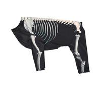 IOIUSKKU Mascotas, concursos de Belleza de Cachorros, sesiones Fotos, Accesorios, Disfraz Esqueleto Halloween para Perros, creando Recuerdos. Los Disfraces para Perros Son Muy adecuados para diversas