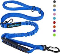 Iokheira Correa para Perros de 5 pies, 4 en 1, Ajustable, con cinturón de Seguridad para el Coche y asa Acolchada, elástica y Reflectante (Azul)