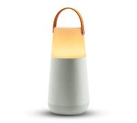 ION Audio Bright MAX - Altavoz Bluetooth portátil Impermeable, con iluminación, Sonidos atmosféricos a 360°, tecnología Multi-Sync y batería Recargable, Gray