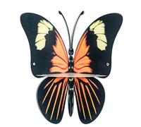 Iouyjiu Butterfly Shaped Wall Rack, Floating Shelf for Kids Room, Eco-Friendly Iron Display Rack, Ideal para macetas pequeñas, Decorative Storage for Children's Room, 11,42 x 9,84 in