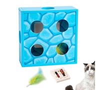 Iouyjiu Cheese Box Toy, Feather Cat Toy, Interactive Cat Toy, Cat Entertainment Toy, Cat Teasing Toy, Feather Rotation Maze Toy With Automatic Motion Sensing For Cats