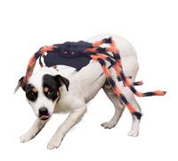 Iouyjiu - Disfraz de araña para animales de compañía, ropa de cosplay, gato, araña de Halloween, disfraz de miedo para eventos festivos, fiestas desfiles Carnavales sesiones de fotos