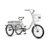 IPAGSEFWE Triciclo para Adultos, Adult Folding Cargo Tricycle 3 Wheel 20in with Rear Basket Load 160KG(Silver)