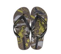Ipanema Chanclas Marrón IP 83609-AZ065 38