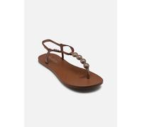 Ipanema Chanclas Class Easy On Glow Mujer Marrón Talla 35-36