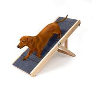 iPetba Rampa para Perros Pequeños, para Sofá y Muebles Bajos, Plegable, Ajustable y Antideslizante, Apta para Perros de hasta 16 kg