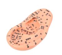 Ipetboom 1 Pieza De Modelo De Masaje Auricular Pendiente De Punta Modelo De Oreja Humana Modelos De Oreja Modelo De Oreja Corporal Modelo De Oreja De Reflexología Modelo Médico De