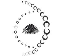 Ipetboom 1juego Para Septum y Orejas Kit De Dilatadores De Acrílico Para Perforaciones Accesorio De Moda Unisex Negro