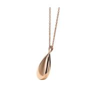 Ipetboom Collar colgante de urna collares para mujer oro delicado collar para mujer colgante de perfume joyería difusor joyas de urna colgante de botella de aroma Acero titanio