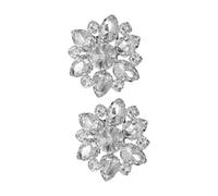 Ipetboom Hebillas Decorativas para Zapatos Gemas de Imitación Desmontables, Accesorios Cristalinos para Mujer en Fiestas y Banquetes, Clip de Decoración Tamaño Estándar, 2 Unidades