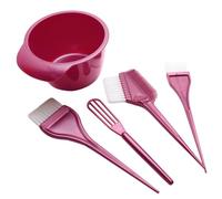 Ipetboom Herramientas Para Peluquería Profesional Kit Completo Para Teñir Cabello Con Cuenco Mezclador Peine Colorante y Esponja Duradera Para Uso Casa y Salón