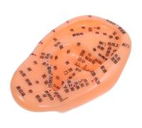Ipetboom Modelo Auricular Herramientas De Reflexología Punto De Acupuntura Oreja Modelo De Acupuntura Del Cuerpo Humano Productos De Acupuntura Modelo De Oreja De Polivinilo