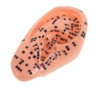 Ipetboom Modelo de Acupuntura Auricular para Enseñanza de Medicina China con Puntos Grabados en Chino, Práctica de Masaje y Estudio de Meridianos