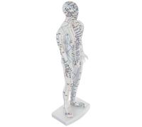Ipetboom Modelo de Acupuntura Hombre Blanco, Maniquí de Puntos de Acupuntura Cuerpo Humano, Herramienta Educativa para Formación en Meridianos, Simulación Realista para Clínica y Enseñanza