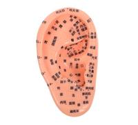 Ipetboom Parche De Masaje Para Oídos Portátil Modelo De Simulación De Oído Humano Con Puntos De Acupuntura Para Práctica De Acupresión y Masaje De Oreja