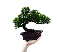 Ipetboom Planta Bonsái Artificial Realista Pino Simulación Maceta Decoración Hogar Oficina Jardín Elegante y Duradera